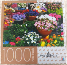 Flower shop 1000 for sale  League City