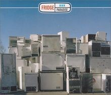 Paradise fridge cd gebraucht kaufen  Berlin
