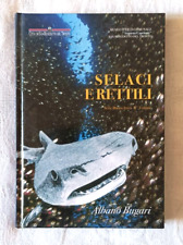 Selaci rettili albano usato  Italia