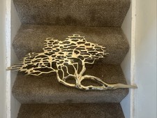 Polished brass bonsai for sale  BIRMINGHAM