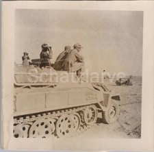 Foto panzer afrika gebraucht kaufen Foto panzer afrika gebraucht kaufen  Jena