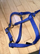 Premium nylon horse for sale  Byfield