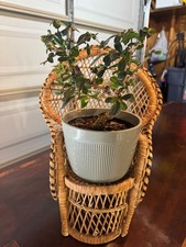 vintage boho chair for sale vintage boho chair for sale Albuquerque