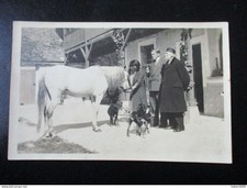 Carte photo moret d'occasion  Vallon-en-Sully