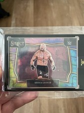 Panini wwe select gebraucht kaufen  Berlin