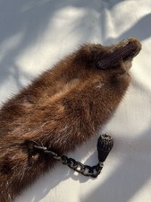 Nerzpelz schal bestehend gebraucht kaufen  Reutlingen