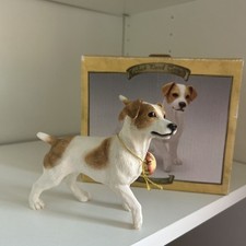 Leonardo jack russell for sale  KIDDERMINSTER