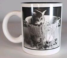 Vintage curious kitten for sale  Ogden