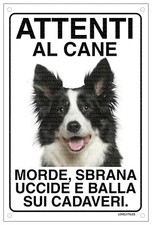Border collie attenti usato  Vertemate con Minoprio