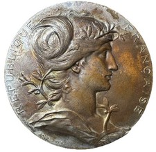 Medalha Universal Exhibition Paris 1889 Bronze 63mm., 104.2g Daniel Dupuis Tonificado comprar usado  Enviando para Brazil