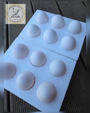 White leghorn eggs for sale  CAMBORNE