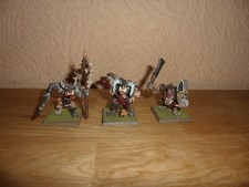 Warhammer fantasy krieger gebraucht kaufen  Heiligenhaus