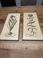 Stampe antiche botanica usato  Saviore dell'Adamello