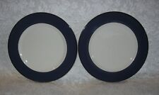 Set pagnossin ironstone for sale  Sachse
