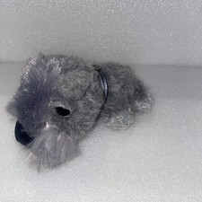 Schnauzer original dog for sale Schnauzer original dog for sale  DAGENHAM