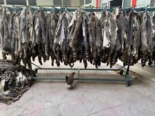 Piece real raccoon for sale  Shipping to United Kingdom