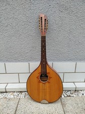 waldzither gebraucht kaufen  Sinzheim