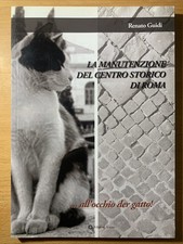 Manutenzione del centro usato  Castiglione delle Stiviere
