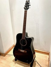 Washburn d10 sceb for sale  SALFORD