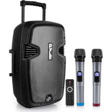 Pyle cassa bluetooth usato  Roccagloriosa