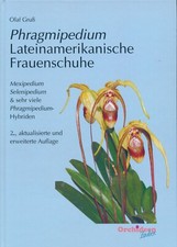 Phragmipedium lateinamerikanis usato  Spedire a Italy