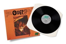 Gong magick brother usato  Vicenza