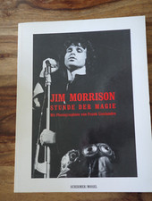 Jim morrison the gebraucht kaufen  Essen