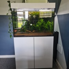 Tropical fish tank for sale  LIVERPOOL