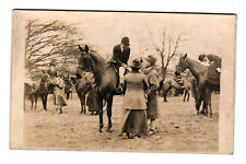 Fox hounds english for sale  CHELTENHAM