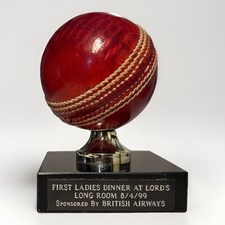 Lords cricket lady for sale  ST. NEOTS