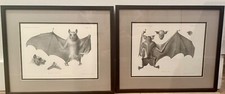 Antique bat scientific for sale  Brooklyn