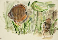 Christa diez diskusfische gebraucht kaufen  Leipzig