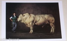 Carte postale photo d'occasion  Ham
