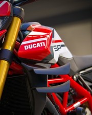 Ali laterali ducati usato  Vo