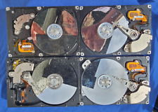 Festplatten konvolut kreatives gebraucht kaufen  Bonn