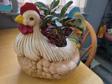 beautiful chicken for sale  Farmington