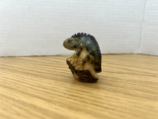 iguana for sale  GOSPORT