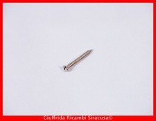 Viti autofilettanti acciaio usato  Siracusa