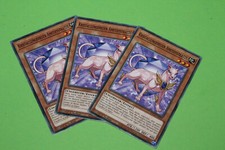 Yugioh playset sdcb gebraucht kaufen  Hochdorf