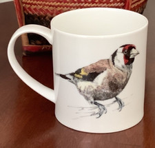 Dunoon goldfinch bird for sale  Nampa