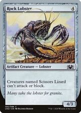 rock lobster for sale  DRONFIELD