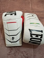 Guantoni boxe leone usato  Pontinia