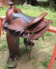 Big horn horse for sale  Cleveland