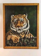 Original bengal tiger for sale  Westminster
