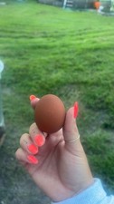 Black copper maran for sale  Jacksonville