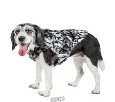 Pet life paw for sale  Nicholasville