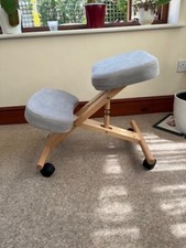 Pro wellbeing ergonomic for sale  DULVERTON