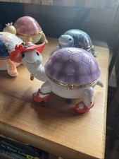 Ardleigh elliot turtle for sale  Bloomfield