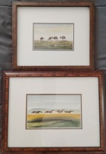 Original watercolor paintings for sale  Kensington