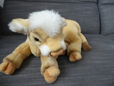 Steiff kalb liegend gebraucht kaufen  Rutesheim